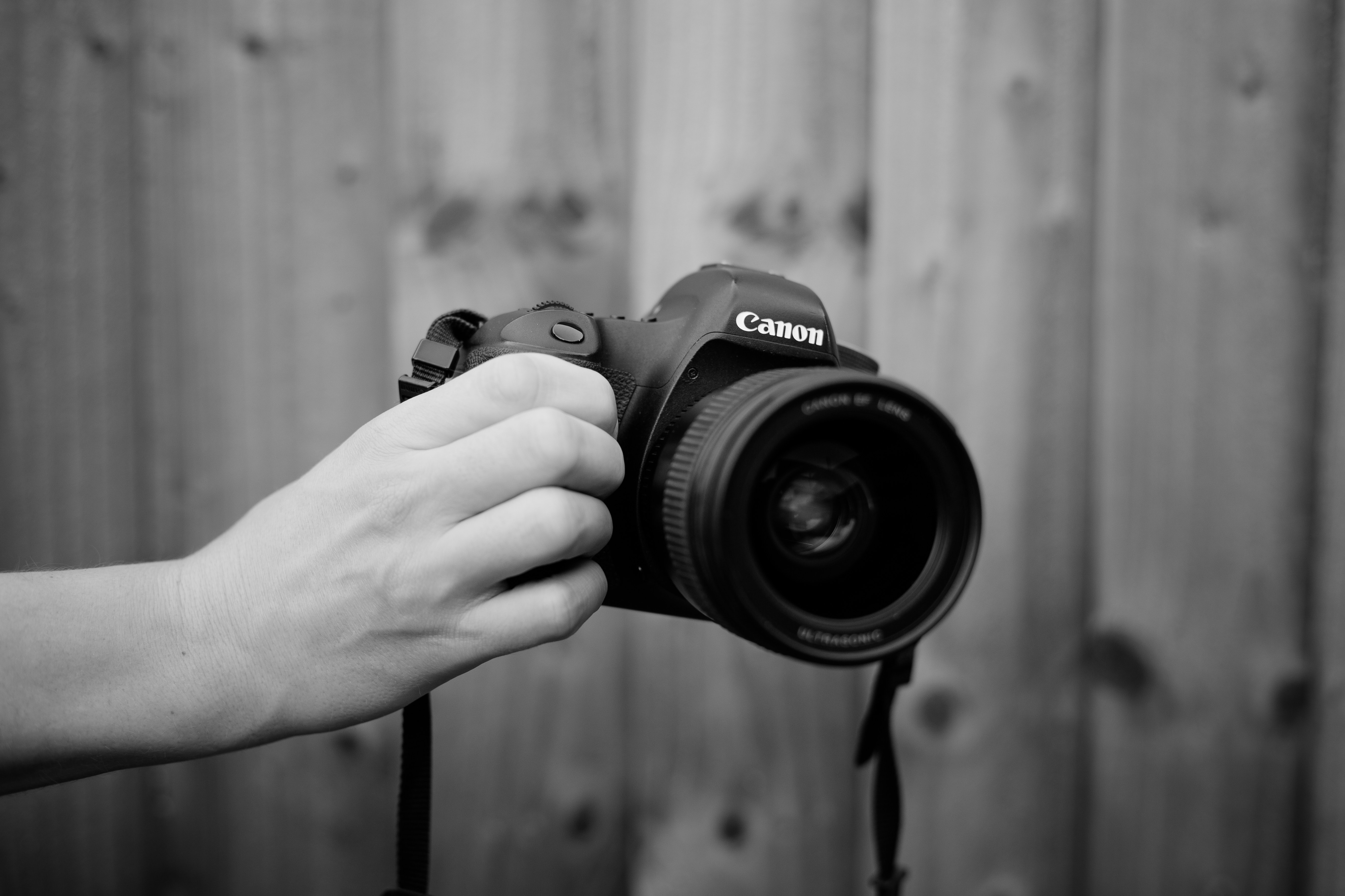 thomas-william-E_qFhuzPYNo-unsplash